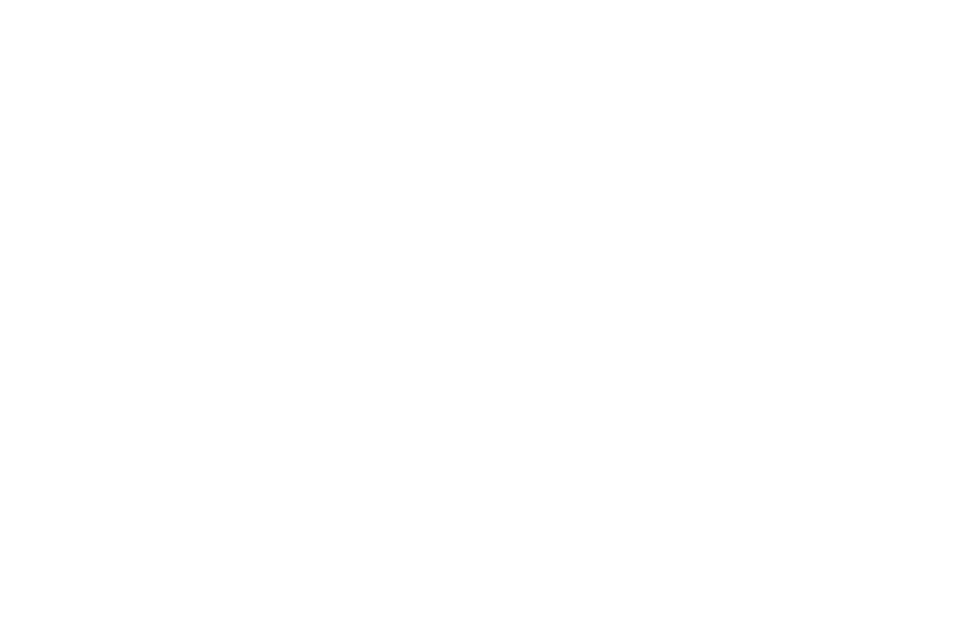Community Welfare Support Hub Logo